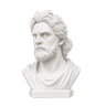 Custom Bust